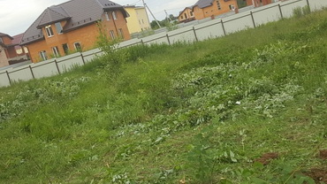 Как подтвердить местоположение границ земельного участка в суде?